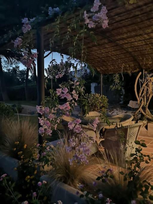 Casita De La Higuera Villa Jávea Екстериор снимка